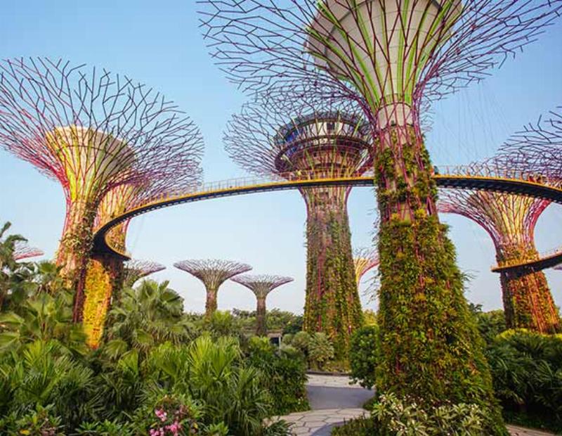 Những món ăn đặc sản hấp dẫn nên thử ở Malaysia trong tour 5N4Đ